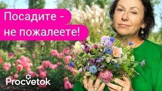 5 ЦВЕТОВ КОТОРЫЕ ОБЯЗАТЕЛЬНО ДОЛЖНЫ РАСТИ В КАЖДОМ САДУ