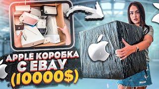 Купила MISTERY BOX с техникой APPLE на EBAY  НЕ КЛИКБЕЙТ   iPhone 11 Pro Max  iPad  MacBook