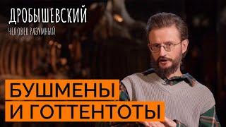 Самые древние народы земли. Как жили бушмены и готтентоты  Дробышевский. Человек разумный