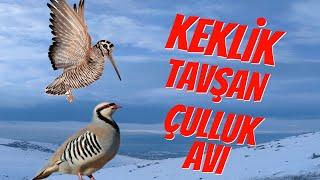 Keklik ÇullukYELVE Tavşan Avı#çulluk#harehunting  #woodcock #keklik #tavşanavı #avcı #keşfet