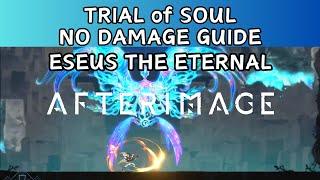 Afterimage - Eseus the Eternal No Damage Trial of Soul