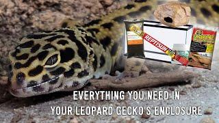 A Beginners Guide to Leopard Gecko Enclosures  Tanks Lighting Heating and more