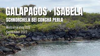 Galapagos  Isabela - Schnorcheln bei Concha Perla • Weltreise Vlog 026