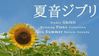 Studio Ghibli Summer Day Piano Collection Calm Music Relaxing MusicNo Mid-roll Ads