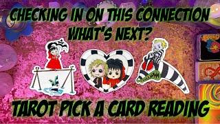 Checking In On This Connection What’s Going On and What’s Next? Tarot Pick a Card Love Reading