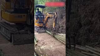 Excavator splitting fresh bamboo