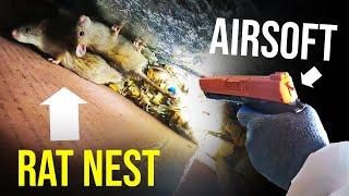 THE BEST WAY TO GET RID OF RATS QUICKLY Airsoft...