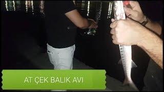 MERSİN DE BALIK AVI YAKALAMA TAKTİKLERİ  MERA ÇOSTU 2019 BALIK AVI 