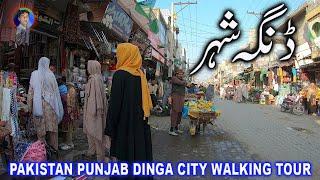 PAKISTAN PUNJAB DINGA CITY WALKING TOUR  naqvi village life