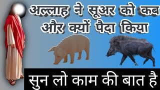 अल्लाह ने सूअर को कब और क्यों पैदा किया  ALLAH NE SUAR KO KYON PAIDA KIYA  ISLAMIC VIDEOS  Pig