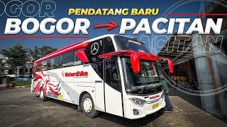 Pertama Kali Naik Bus Ke Pacitan ‼️ Naik Bus Pendatang Baru Mahardhika Mercy 1626