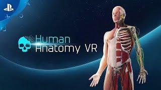 Human Anatomy  Trailer  PSVR