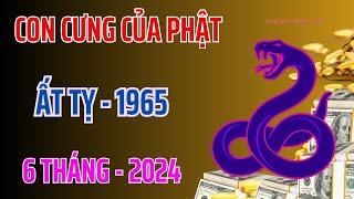 Con Cưng Của Phật - Ất Tỵ 1965 - Đúng 6 Tháng Cuối 2024 - Tiền Về Tận Tay - Giàu Có Ít Ai Giàu Bằng