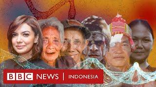 Hasil tes DNA menjawab siapakah orang asli Indonesia - BBC News Indonesia