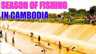 Season Of Fishing in Cambodia Many Of Cambodian People Fishing in A Big Canal  Khmer fishing post