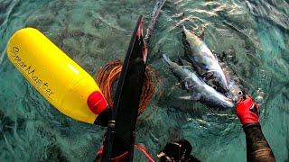 STRONG CURRENT SAFETY FIRST  TREVALLIES + NIGHT SPEARFISHING PHILIPPINES