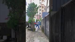 Baavi Football thaaram️ #shorts #trending #puppy #shortvideo