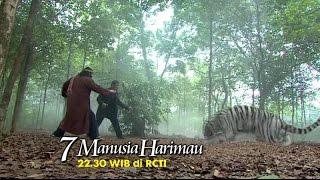 7 MANUSIA HARIMAU  Ketika dua Harimau putih melawan musuhnya