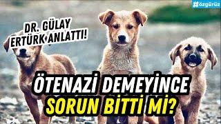 Ötenazi demeyince sorun çözülüyor mu? Dr. Gülay Ertürk Erk Acarer ve Figen Çalıkuşuna anlattı