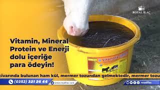 Hayvanlarınıza Vitamin Mineral Protein ve Enerji Vermek için Vitamolix Ruminant  Royal İlaç