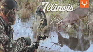 Bow Hunting Big Deer on a Tree Farm  Buck Truck