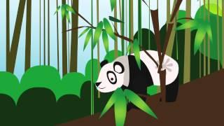 Mimmit - Xiongmao 熊猫 Panda