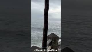 Azhimala beach #ShotOnIphone13pro