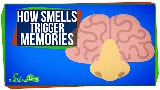 How Smells Trigger Memories