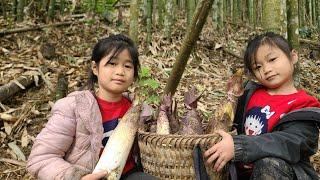 3 days of hard work from orphans. Harvesting bamboo shoots to sell. make a chicken coop.