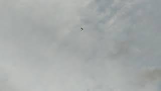 A small swoop at Skydive Gan