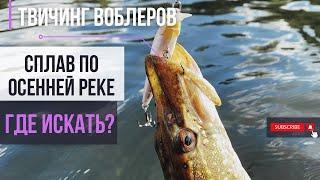 Как поймать щуку на осенней реке  Спиннинг и воблеры  рыбалка в Воронеже #спиннинг #щука #воблер