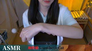 麻醉猫【ASMR】好听！