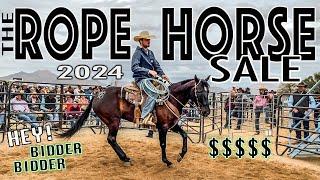 THE START OF HORSE SALE SEASON IN ARIZONA