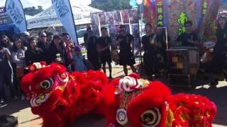 Lion Dance 1 - Lunar New Year Fest 2017