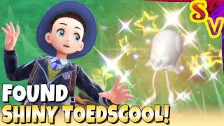 Shiny Toedscool Found in Mass Outbreak Live Shiny Reaction in Pokemon Violet