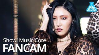 예능연구소 마마무 화사 직캠 AYA MAMAMOO HWASA FanCam @ShowMusicCore 201114