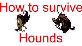 DSTHow To Survive Hound In Dont Starve Together