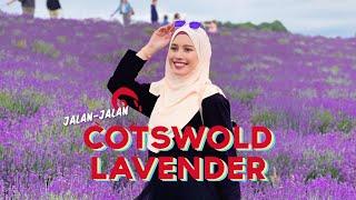 Jalan-jalan Broadway Tower & Cotswold Lavender