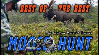 TOP 20 Moose hunts on  Safari Channel