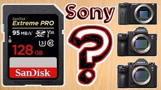 Best Memory Card for Sony Cameras – Choosing the Best SD Card for Video on Sony Alpha Cameras