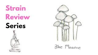 Blue Meanie Magic Mushrooms Exploring the Vivid Coloration & Unique Chemistry