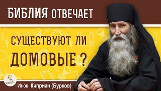 Существуют ли ДОМОВЫЕ ?  Инок Киприан Бурков