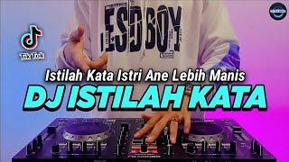 DJ ISTILAH KATA ENTE KADANG KADANG TIKTOK VIRAL REMIX FULL BASS 2022  DJ ISTRI ANE LEBIH MANIS