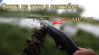 охота на утку с мр-155