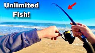 Wintertime FISHING on the BEACH for NONSTOP ACTION