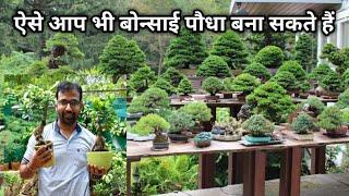 ऐसे आप भी बोन्साई पौधा बना सकते हैं  MAKE BONSAI PLANT  Amazing Bonsai Collection