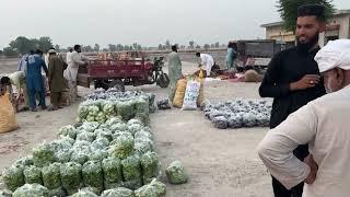 Anjum Saroya Visits Fruit and  Vegetable Market Rehmay Shah  Sabzi Mandi Chak 452 GB