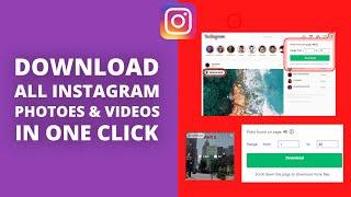 How to Download All Instagram Photos & Videos in Single Click 2023 Quick & Easy