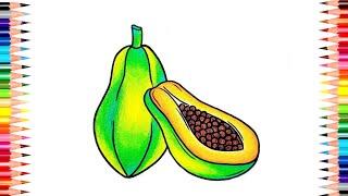 Papaya Drawing  How to Draw Papaya Fruit Step by Step  Papaya Drawing Colour  #fruitsdrawing..