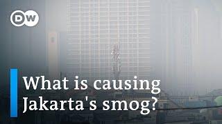 Jakarta ranked most polluted city in the world  DW News